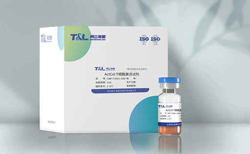 特别推荐—GMP级别ActCel T细胞激活试剂重磅上市！