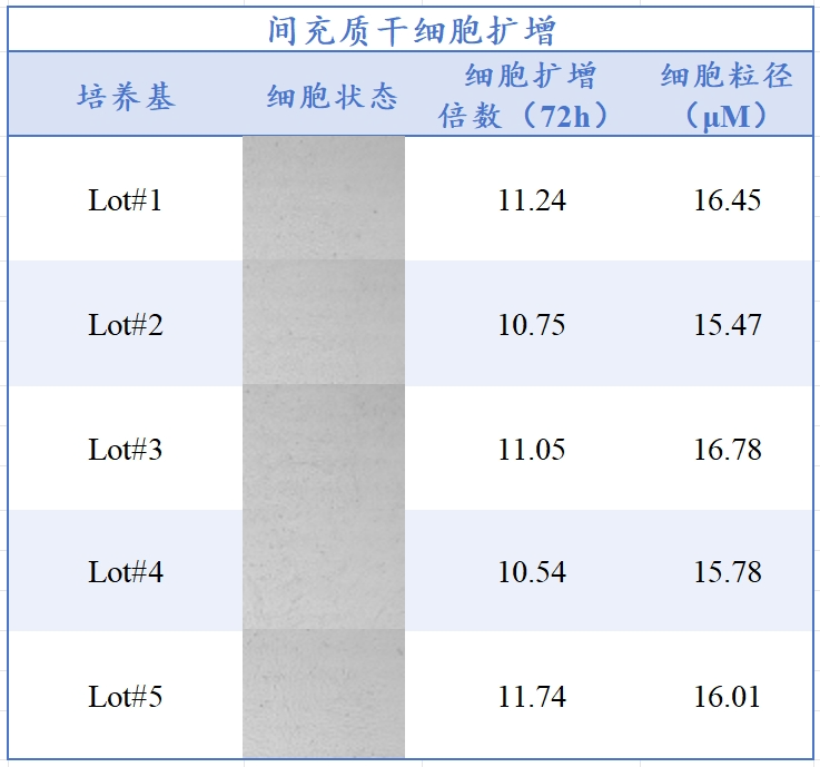 太阳集团tyc5997生物MSC无血清培养工艺定制化服务