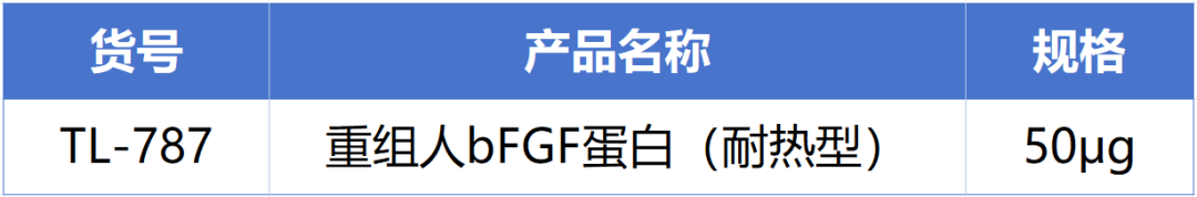 太阳集团tyc5997新一代耐热型重组人bFGF蛋白正式发布！高温环境下的修复王者! 
